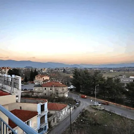 Palatino &